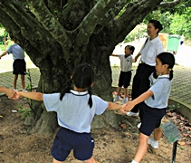 圍著大樹，王綺楨（慈惟）老師帶領孩子們感受大自然的氣息。【攝影者：胡慧芬】