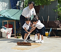 小朋友動手學習篩選稻米，能把好的稻谷分類好。【攝影者：陳月娥】