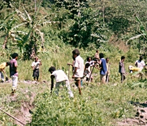 早期，志工们曾经教导村民们利用空闲时间，在荒废的土地上种植香蕉树，至今还可以看到村民们所延续的努力。【圖片提供：佛教慈濟基金會馬來西亞分會】