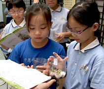 通過分組進行種綠豆的實驗，孩子們一起來見證免洗筷的危害。【攝影者：胡慧芬】