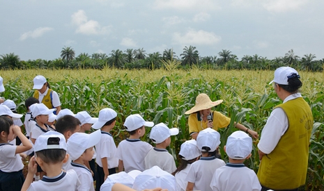 解說員姊姊帶小朋友們走進玉米種植區，進行解說。【攝影者：顏如艷】