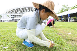 師姊根據號碼順序，在草場上釘上地標。【攝影者：江詩雯】