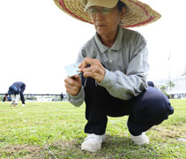 志工小心翼翼地將鐵枝穿進號碼牌上的兩個小洞，再把它釘在草地上。【攝影者：江詩雯】