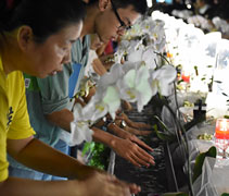 禮佛足、接花香、祝福吉祥。隨著浴佛人數逐年增加，為避免不斷請購香湯碗，布置組志工們參考往年各國浴佛典禮，將PVC塑膠管改製，手沾香湯，容器改變，法會依舊莊嚴。【攝影者：周達源】