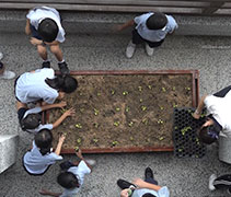 數次課程讓檳城慈濟安親班學生了解到小小方塊地也能種植蔬菜。【攝影者：莊智文】