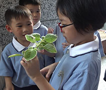 第一堂課，老師讓小朋友種植較易生長的植物，也讓他們聞一聞、摸一摸，加深孩子們對各類植物的認識。【攝影者：黃翊晴】