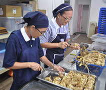 活動中，少不了開齋節的主要食品-馬來粽（KETUPAT）。【攝影者：林兆南】