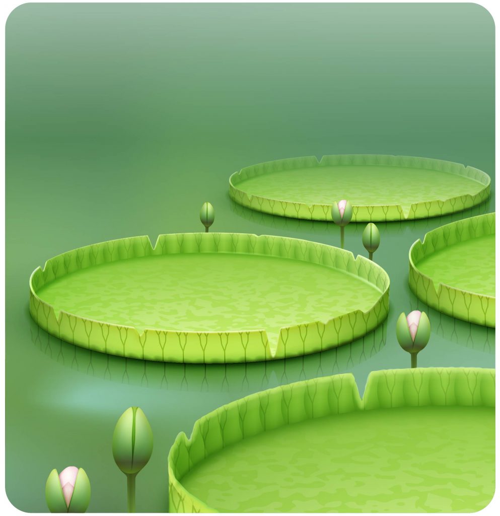 佛教慈濟基金會馬來西亞分會