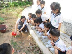 观察水进入土壤后没有植物吸取水分的结果。